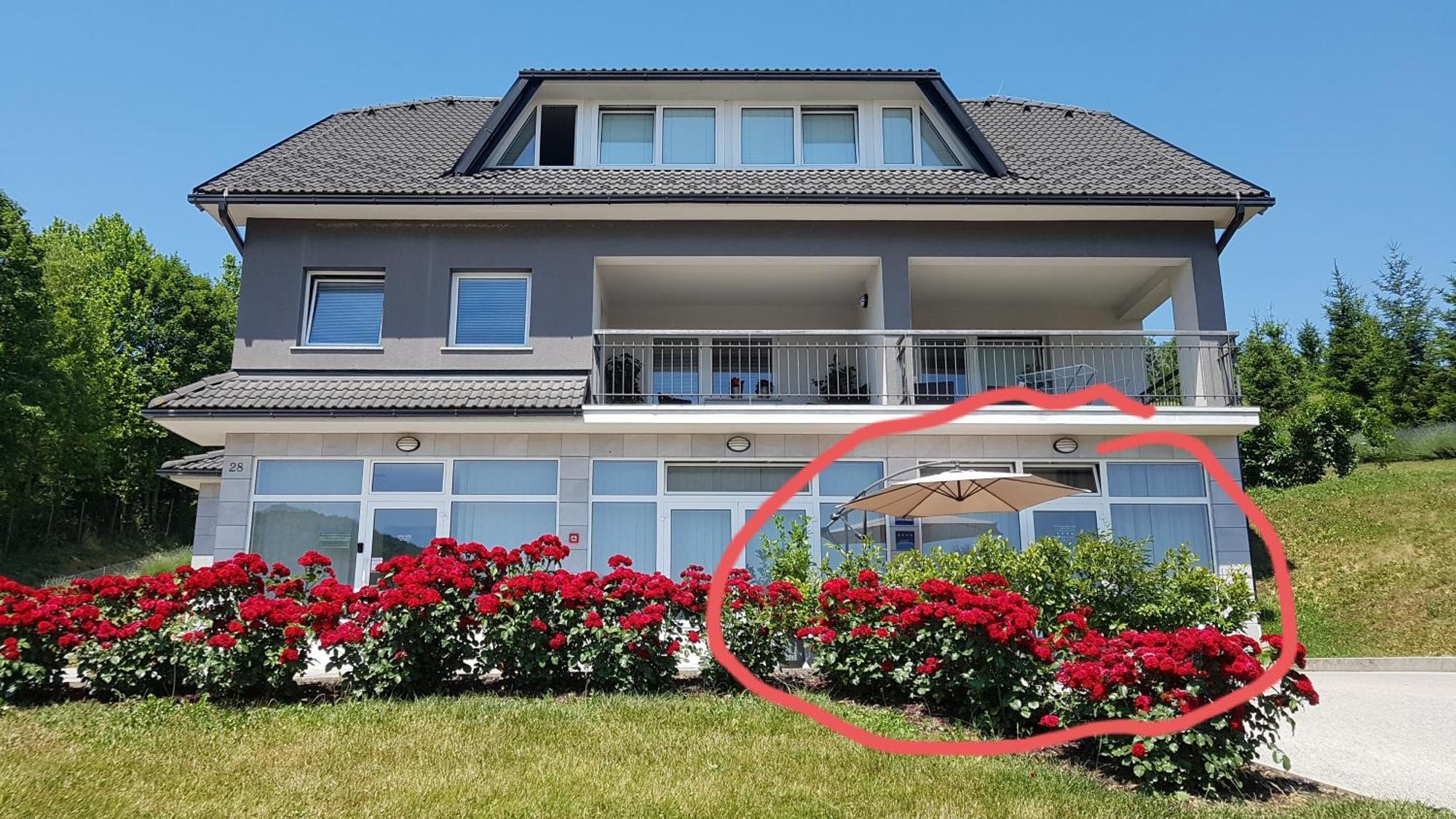 Apartmani Sanja クラピンスケ・トプリツェ 部屋 写真