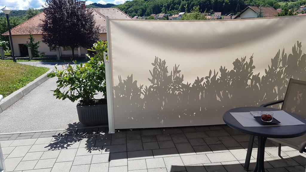 Apartmani Sanja クラピンスケ・トプリツェ エクステリア 写真